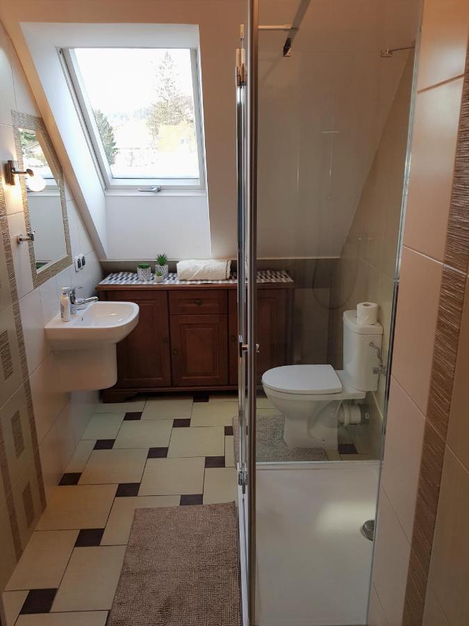 Appartamento Apartament W Sercu Ustrzyk Ustrzyki Dolne Esterno foto